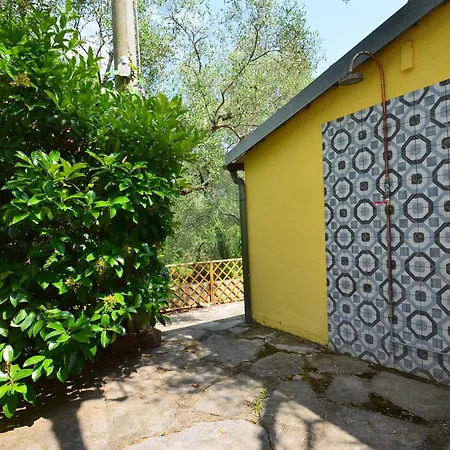 Rustico